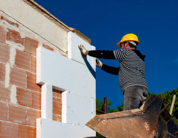 Best Insulation Maintenance and Repair in Leesburg, GA
