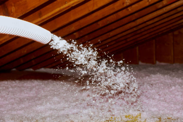 Best Insulation Installation Services in Leesburg, GA